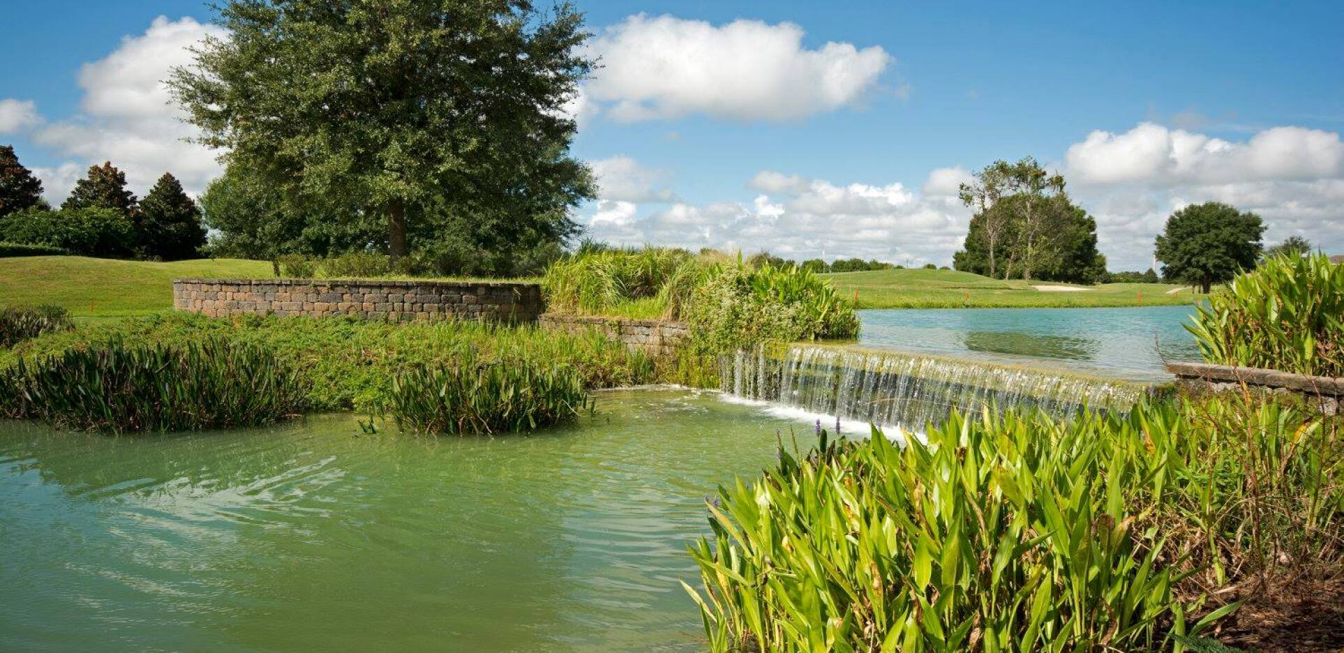 Pond on golf course